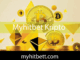 Myhitbet kripto ödeme seçeneğiyle etkin roldedir.